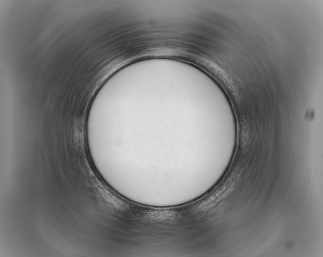 X0000094911417200712201147