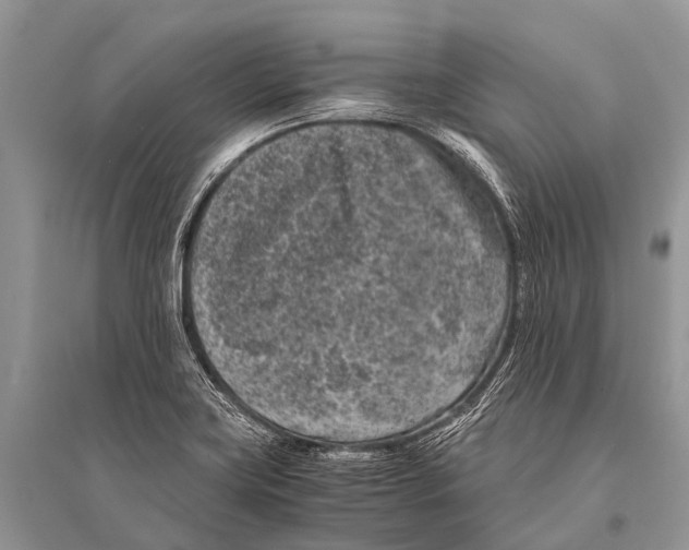 X0000094911419200712201147