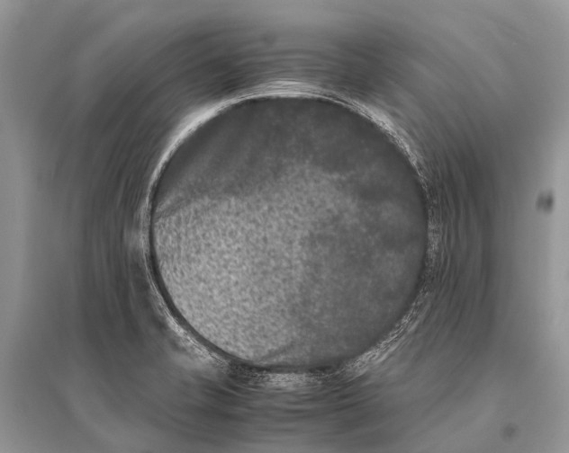 X0000094911421200712201147