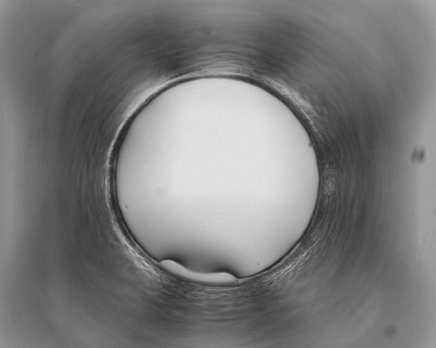 X0000094911423200712201147