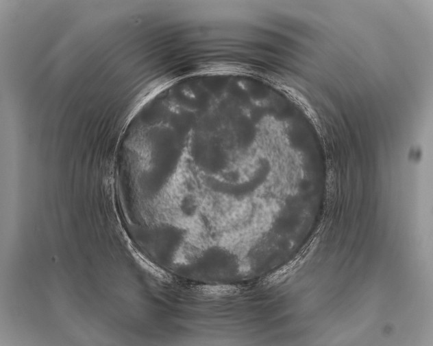 X0000094911425200712201147