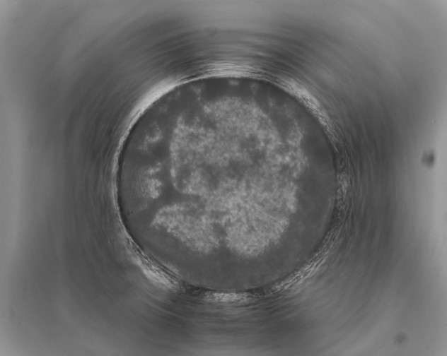 X0000094911427200712201147