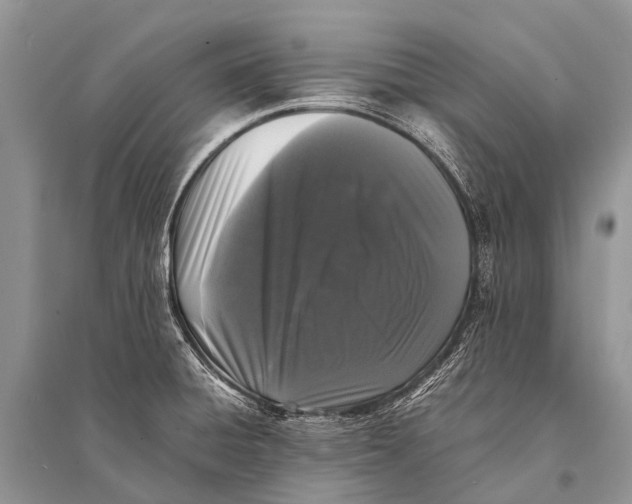 X0000094911428200712201147