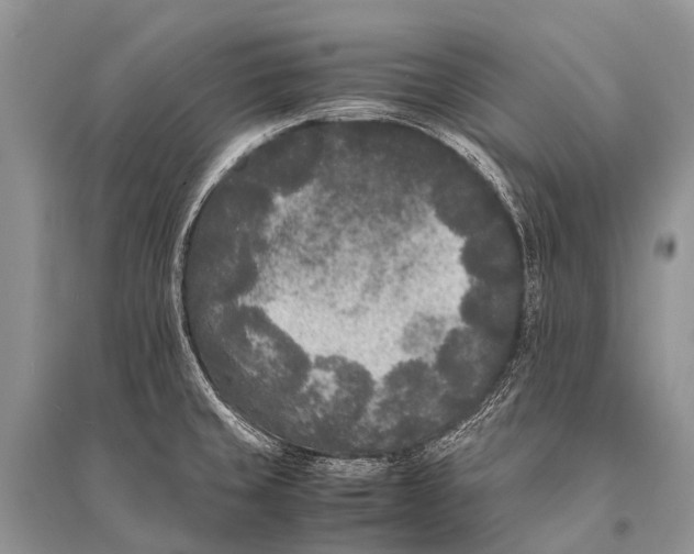 X0000094911429200712201147