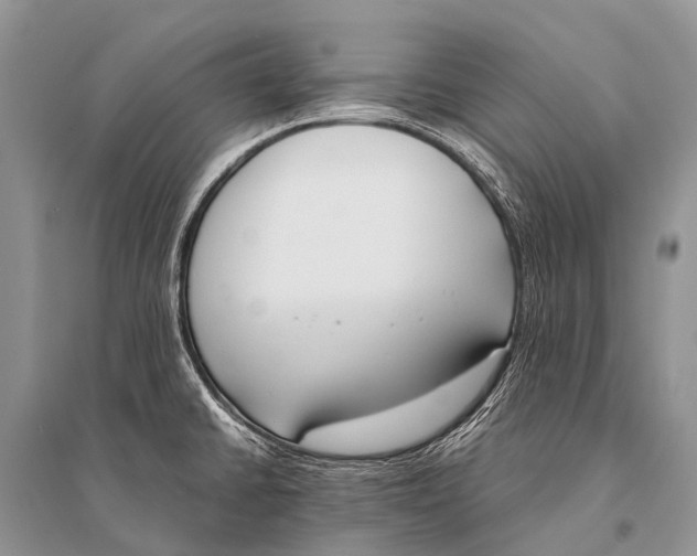 X0000094911430200712201147