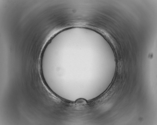 X0000094911432200712201147
