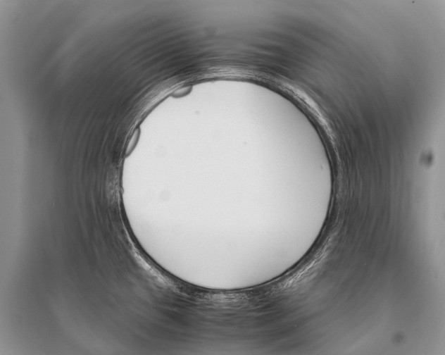 X0000094911433200712201147
