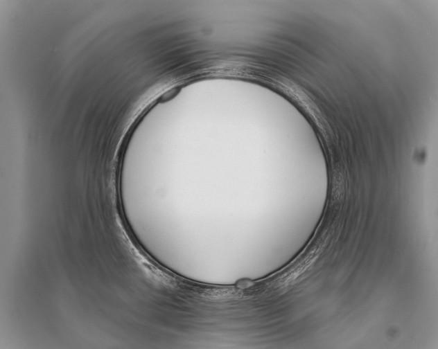 X0000094911434200712201147