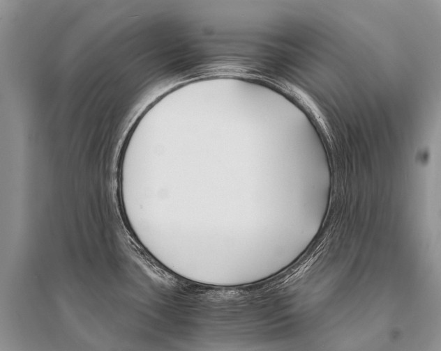 X0000094911435200712201147
