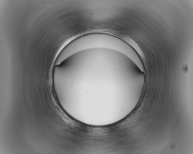 X0000094911436200712201147