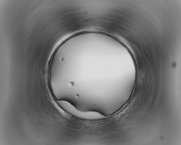 X0000094911437200712201147