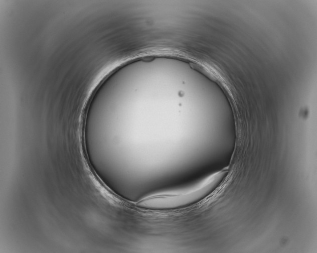 X0000094911438200712201147
