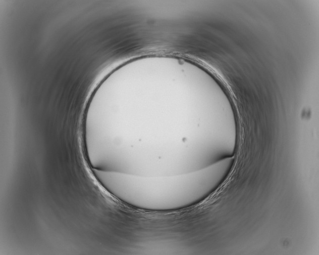 X0000094911440200712201147