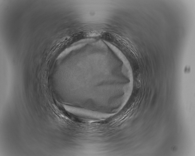X0000094911441200712201146