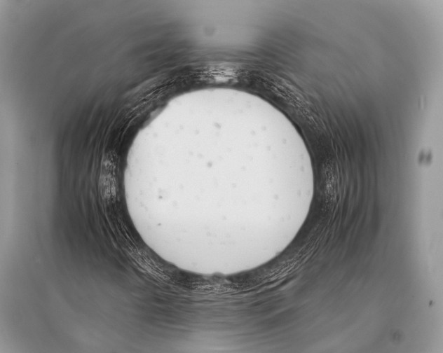 X0000094911442200712201146