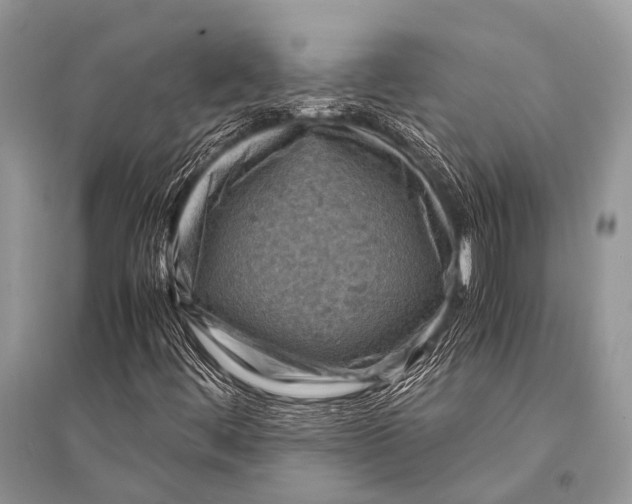 X0000094911444200712201146