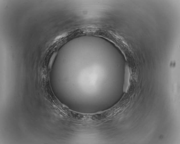 X0000094911445200712201146