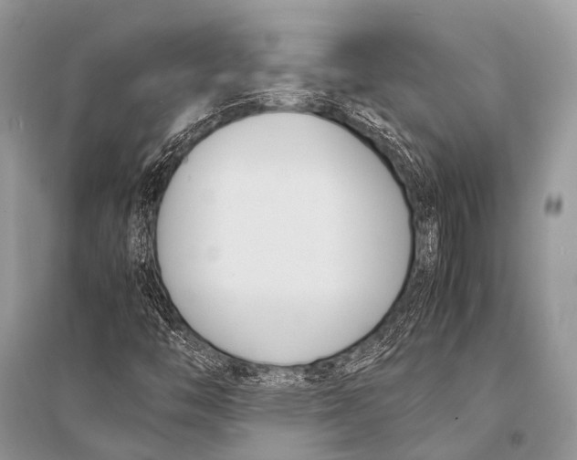 X0000094911446200712201146