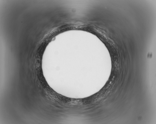 X0000094911447200712201146