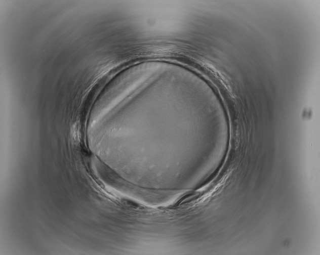 X0000094911449200712201146