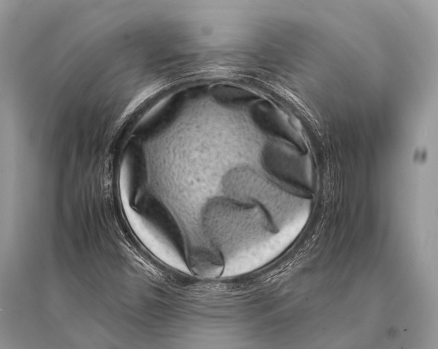 X0000094911450200712201146