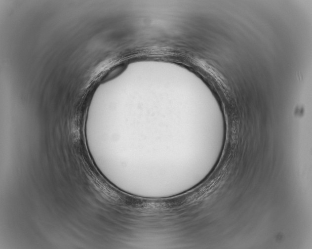 X0000094911451200712201146