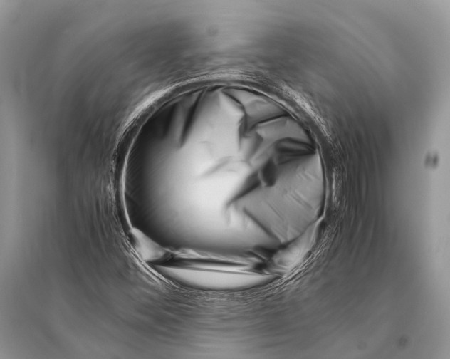 X0000094911452200712201146