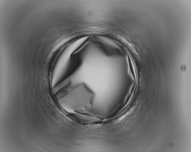 X0000094911453200712201146