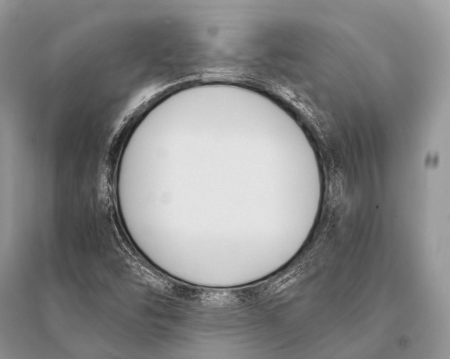X0000094911454200712201146