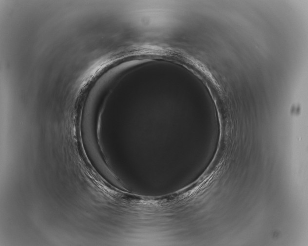 X0000094911455200712201146
