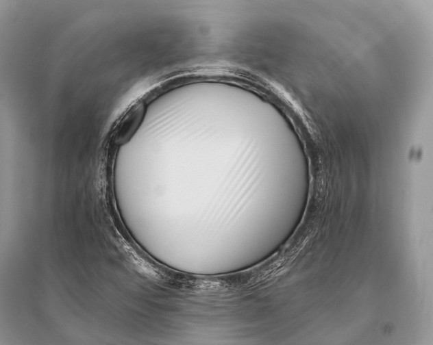 X0000094911456200712201146