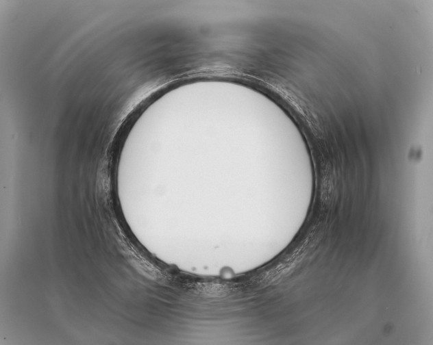 X0000094911458200712201146
