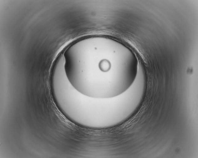 X0000094911460200712201146