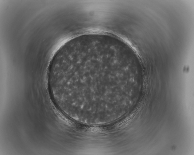X0000094911463200712201146