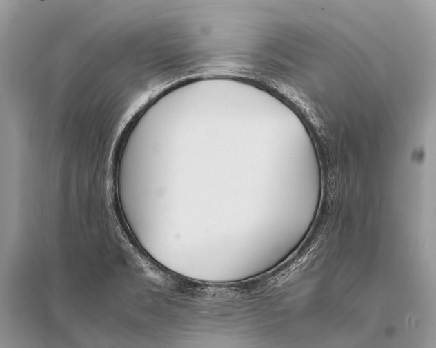 X0000094911469200712201146