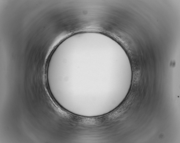 X0000094911470200712201146