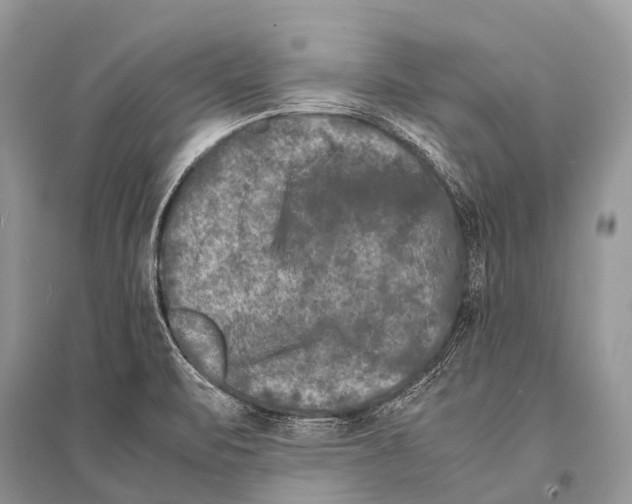 X0000094911471200712201146