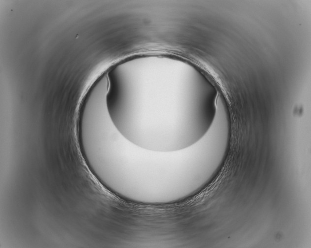 X0000094911472200712201146