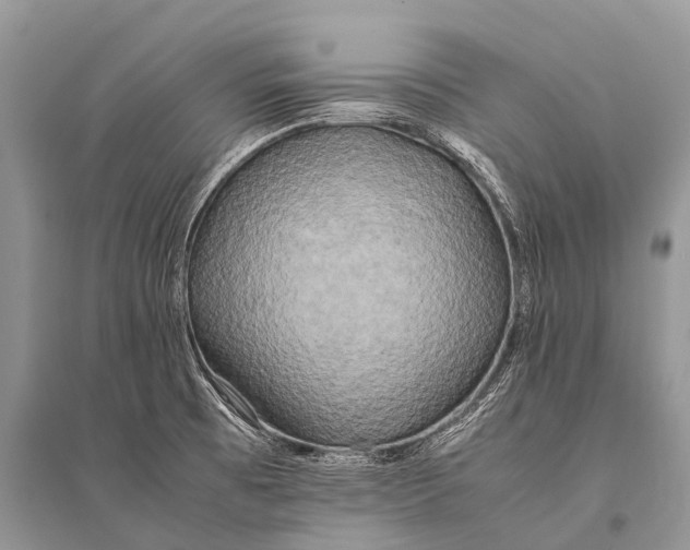 X0000094911473200712201146