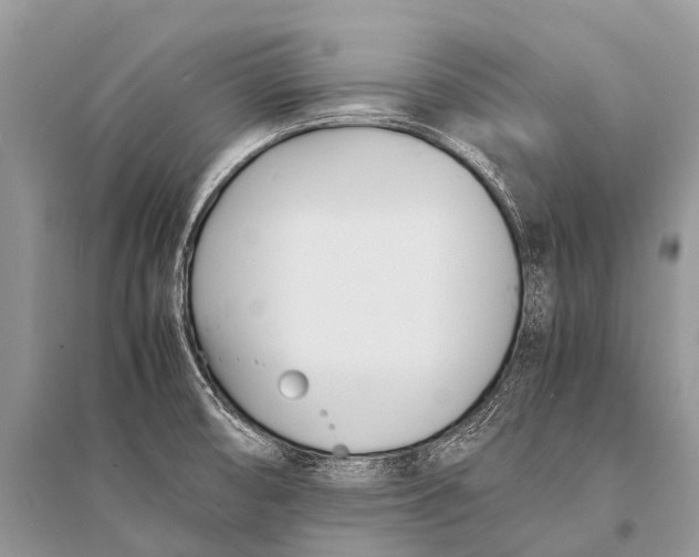 X0000094911474200712201146