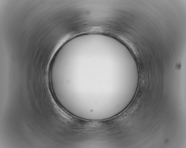 X0000094911475200712201146