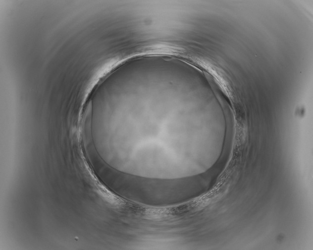 X0000094911477200712201146