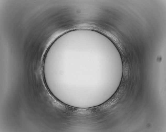 X0000094911478200712201146