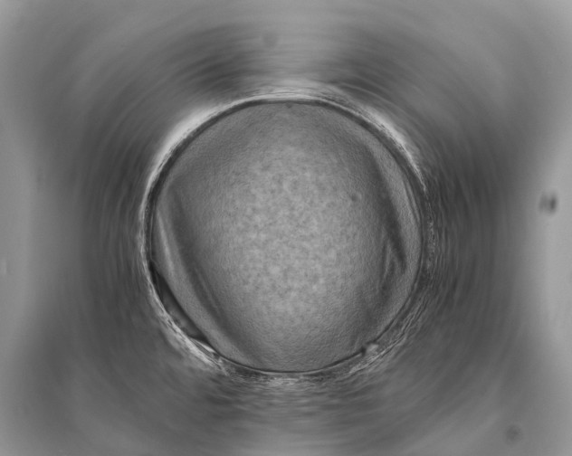 X0000094911480200712201146