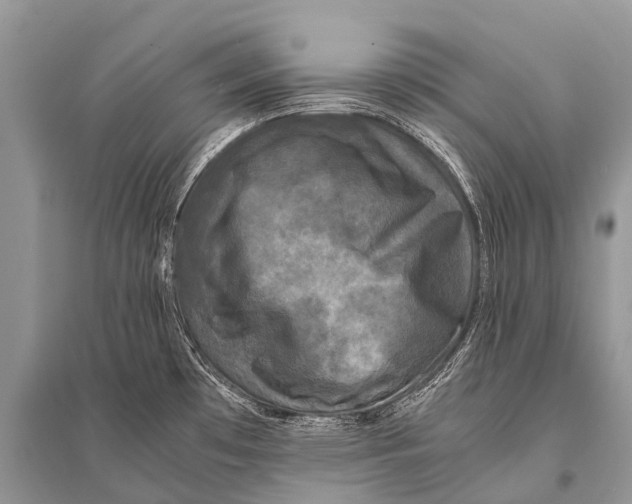 X0000094911481200712201146