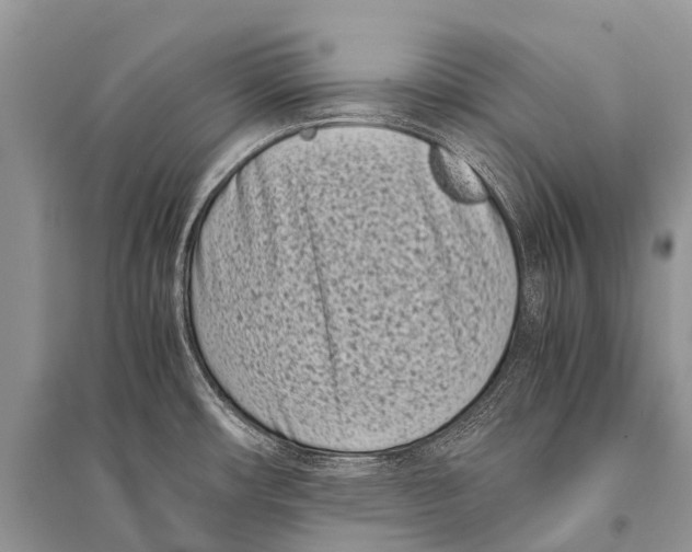 X0000094911482200712201146
