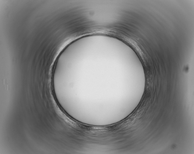 X0000094911483200712201146