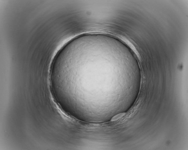 X0000094911485200712201146