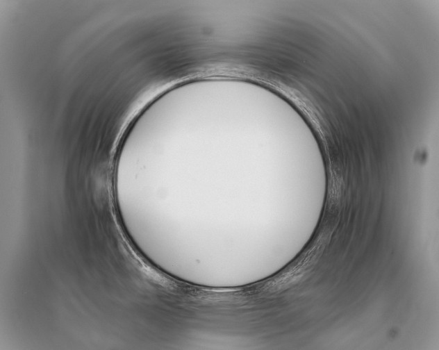 X0000094911486200712201146