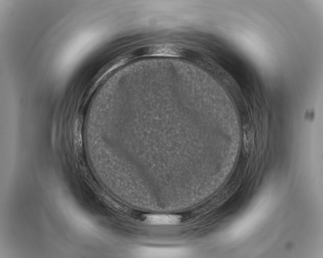 X0000094911487200712201145